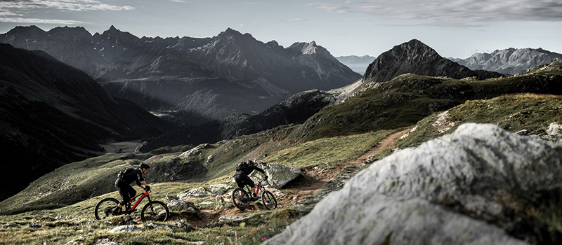 Vtt rotwild 2020 new arrivals